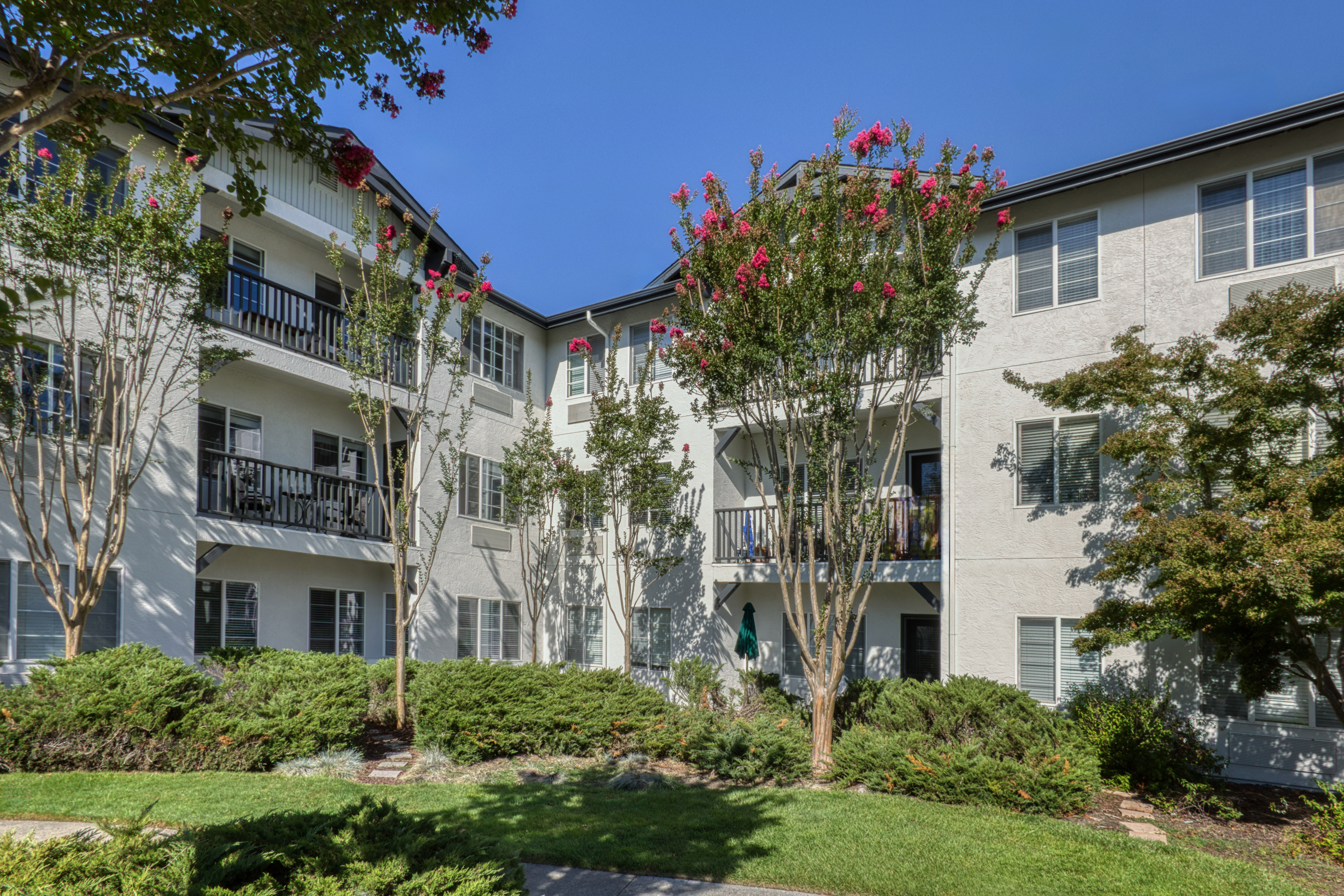 Provincial Senior Living Solstice at Santa Rosa 03